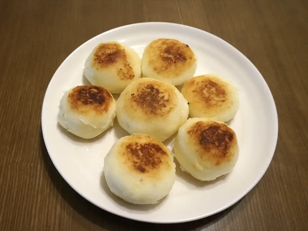 지방의회의 조직·권한·의원선거와 지방자치