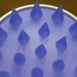 국회는 의장 1인과 부의장