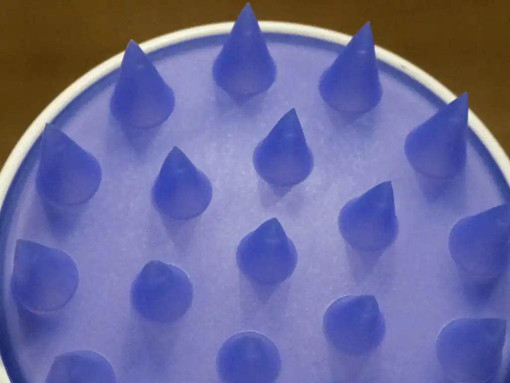 국회는 의장 1인과 부의장